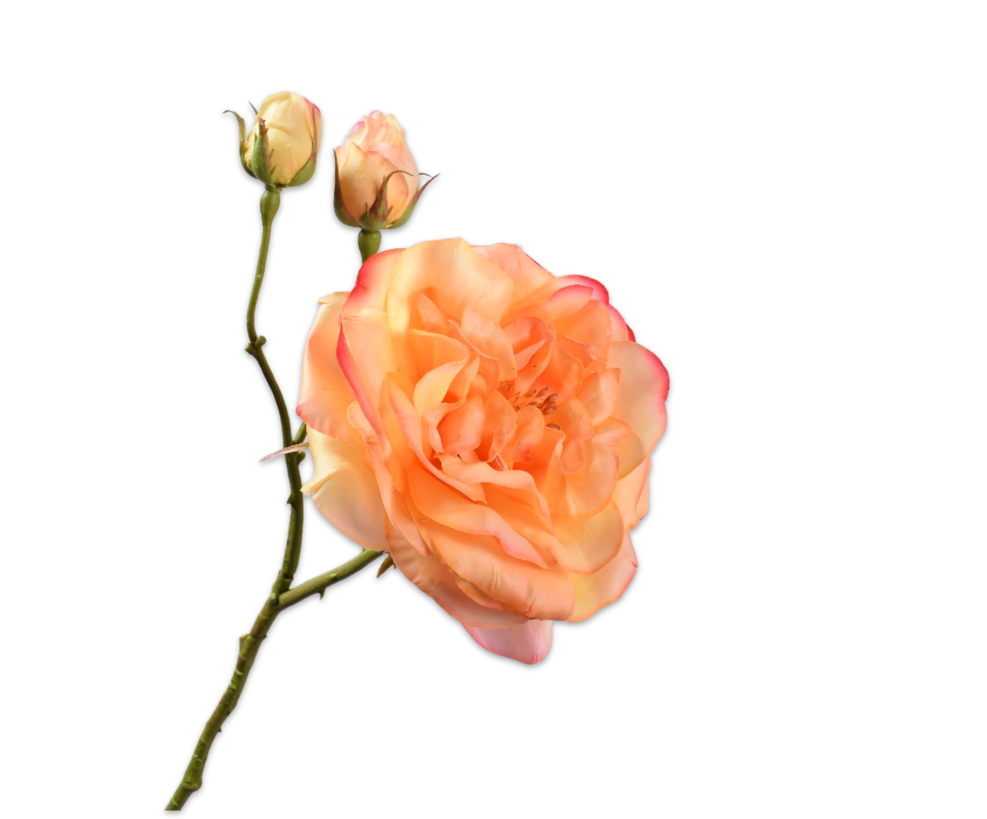 ROOS TAK GEEL RT 59 cm