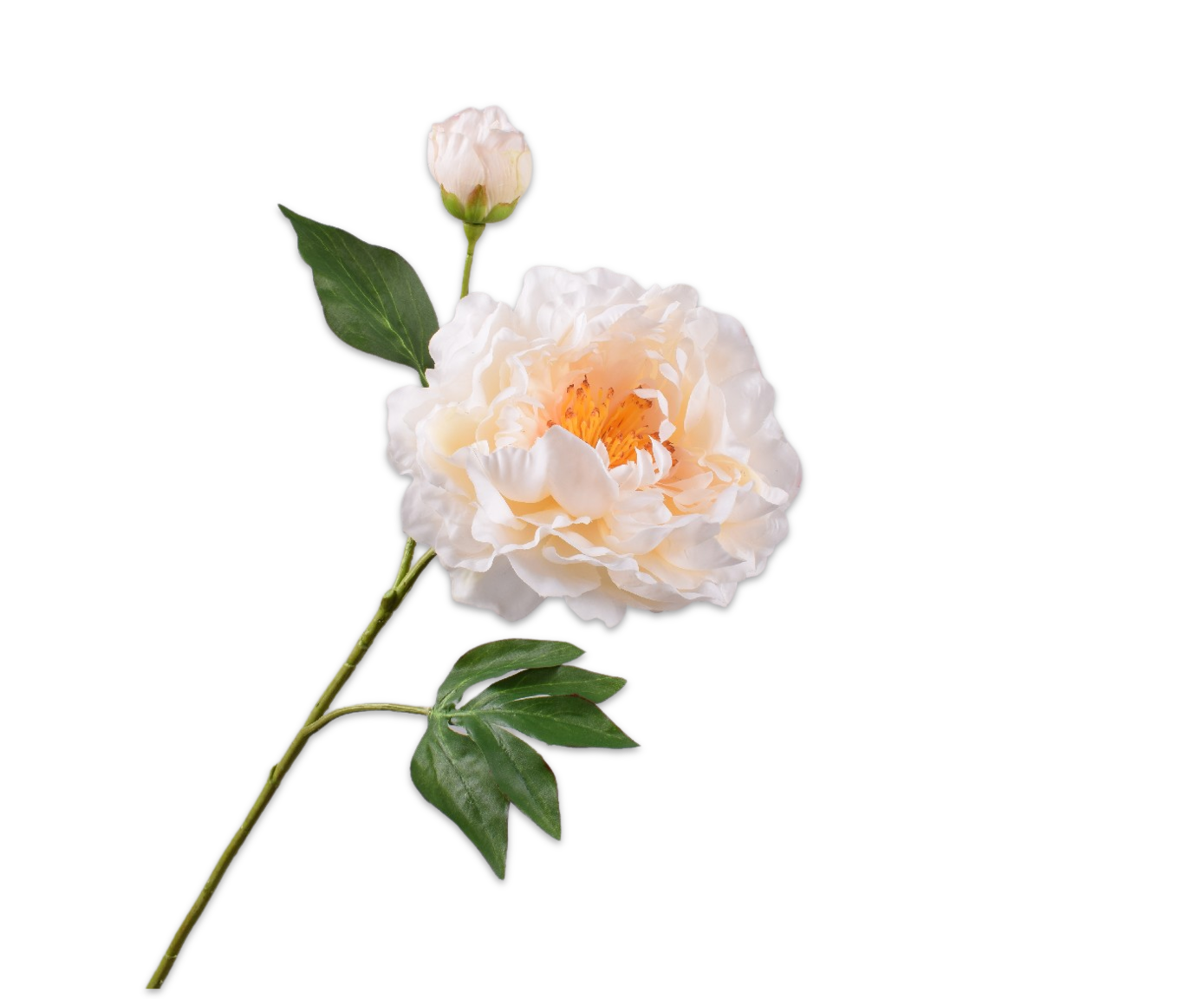 PFINGSTROSE ZWEIG CREME RT  79 CM