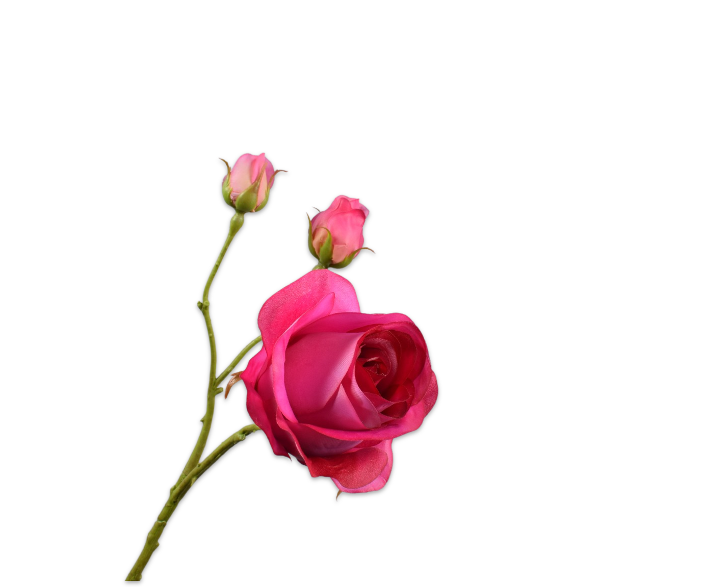 ROSE SPRAY BEAUTY RT  59 CM