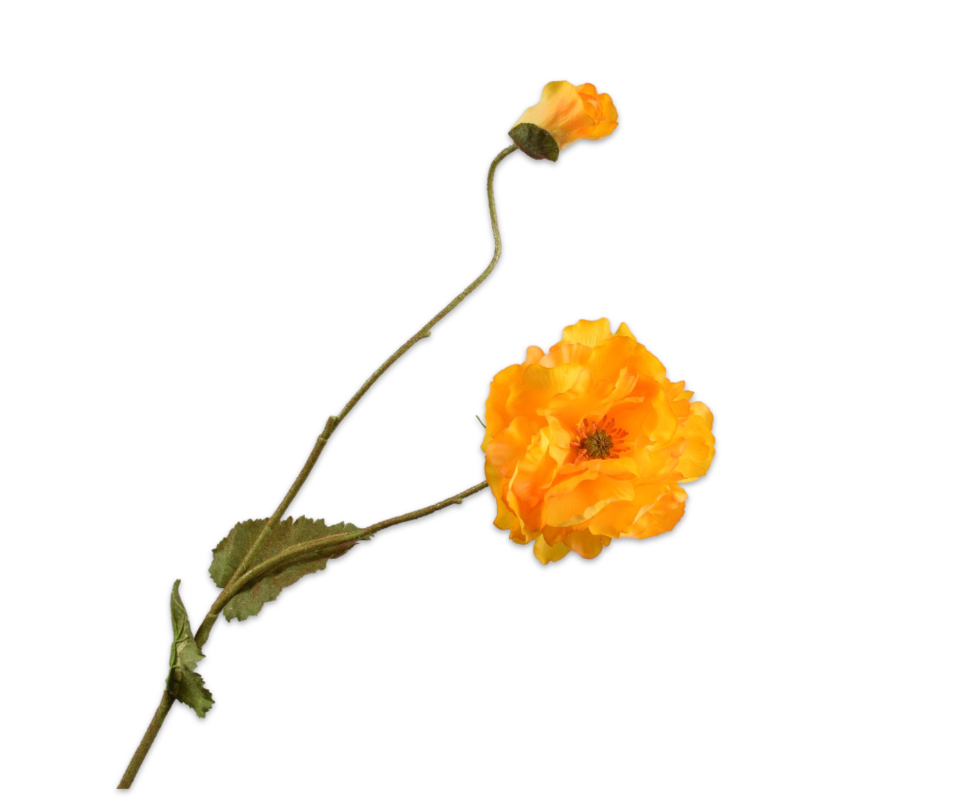 KLAPROOS TAK GEEL 109 cm