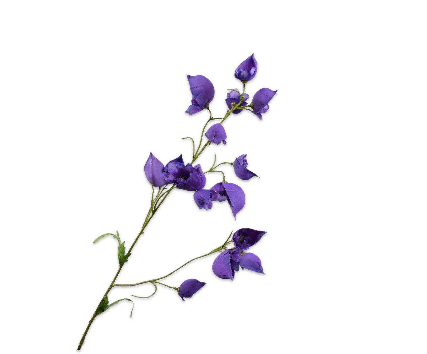 DELPHINIUM SPRAY PURPLE  79 CM