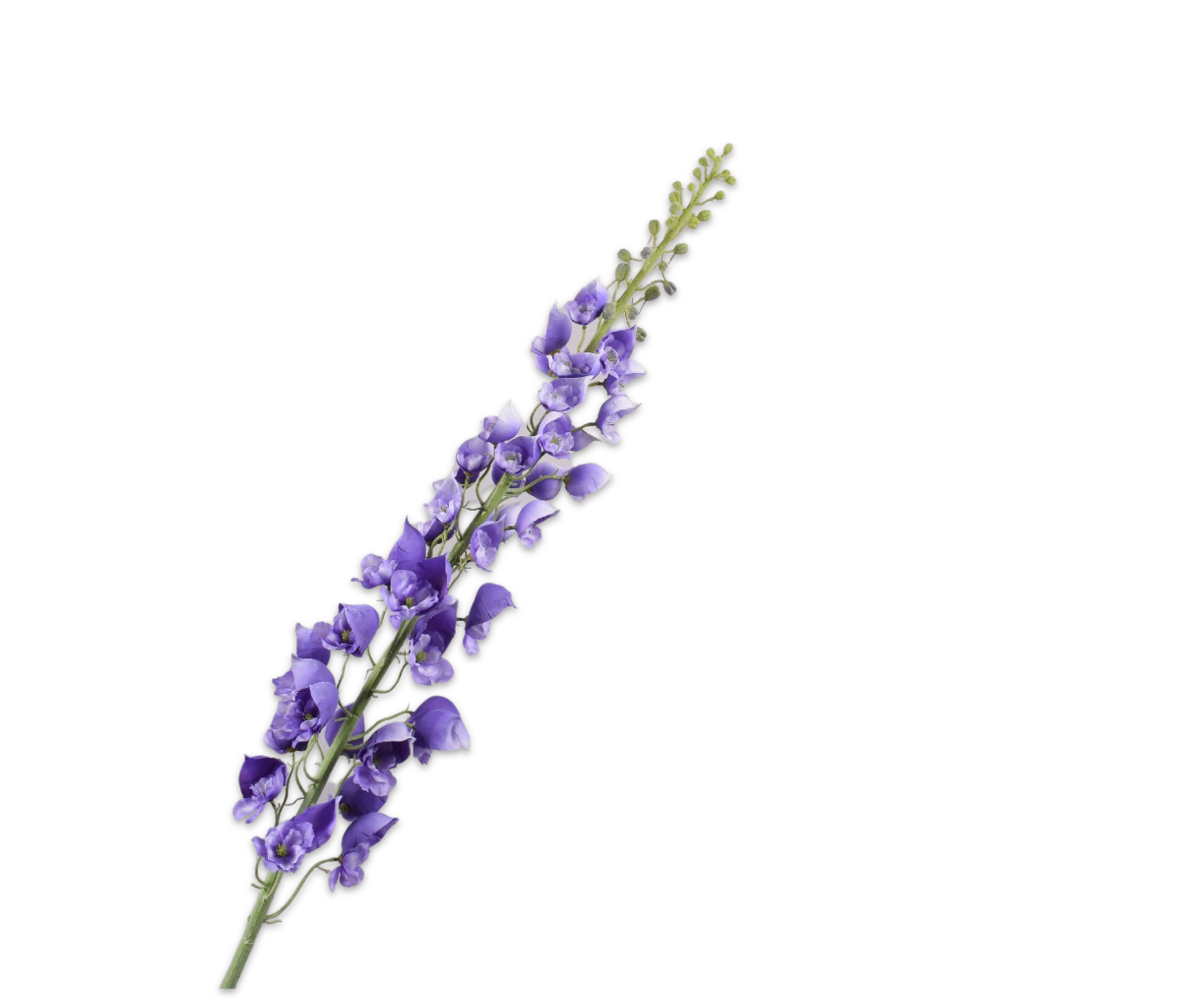 DELPHINIUM STEEL LAVEND 135 cm