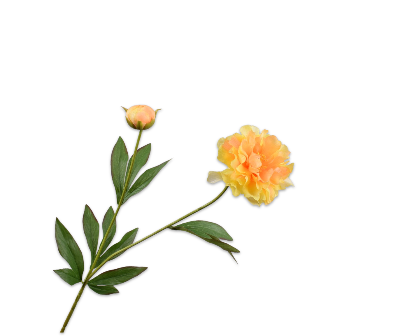 PEONIA RAMO GIALLO  65 CM