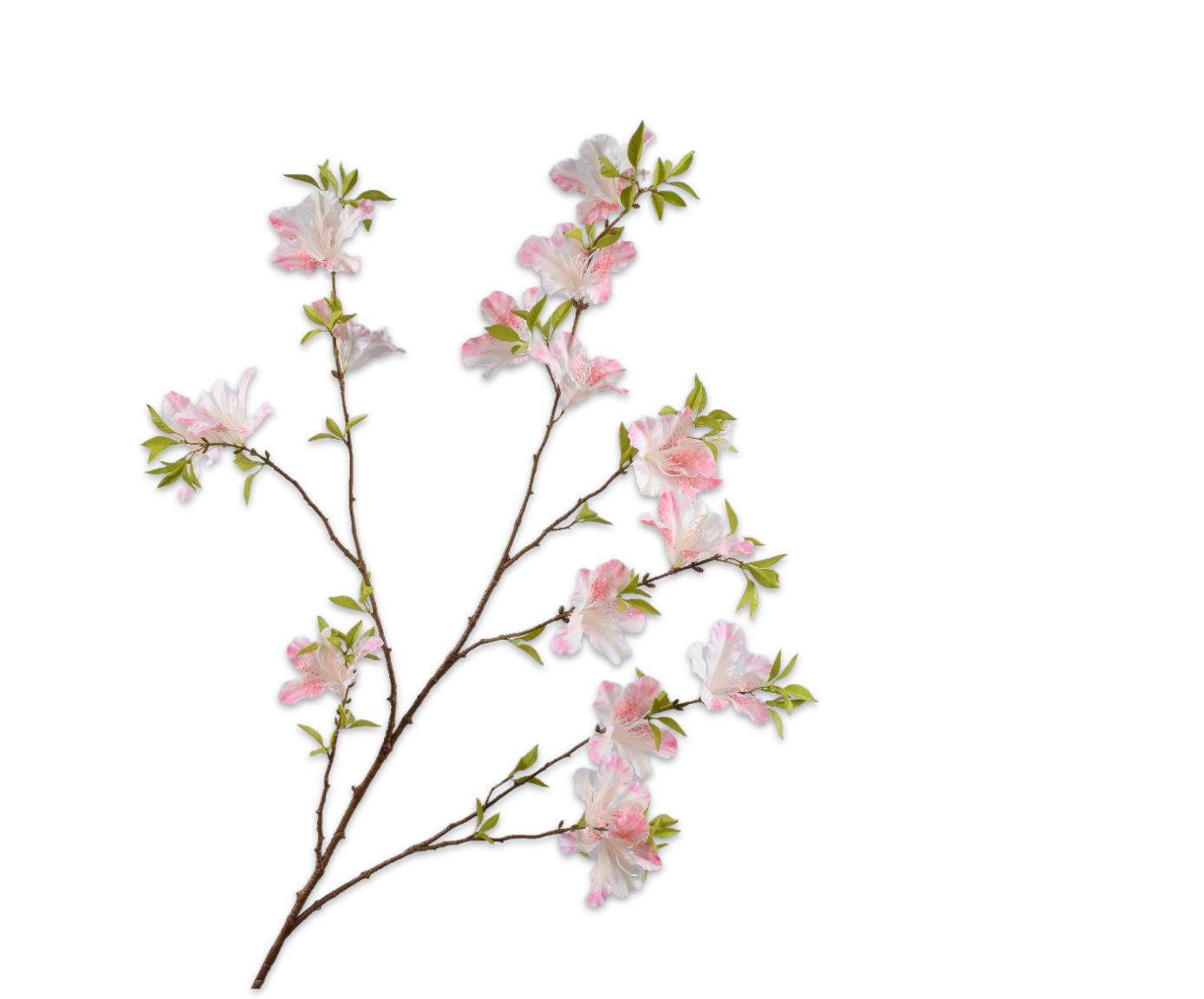 RHODODENDRON ZWEIG ROT/OR  123 CM