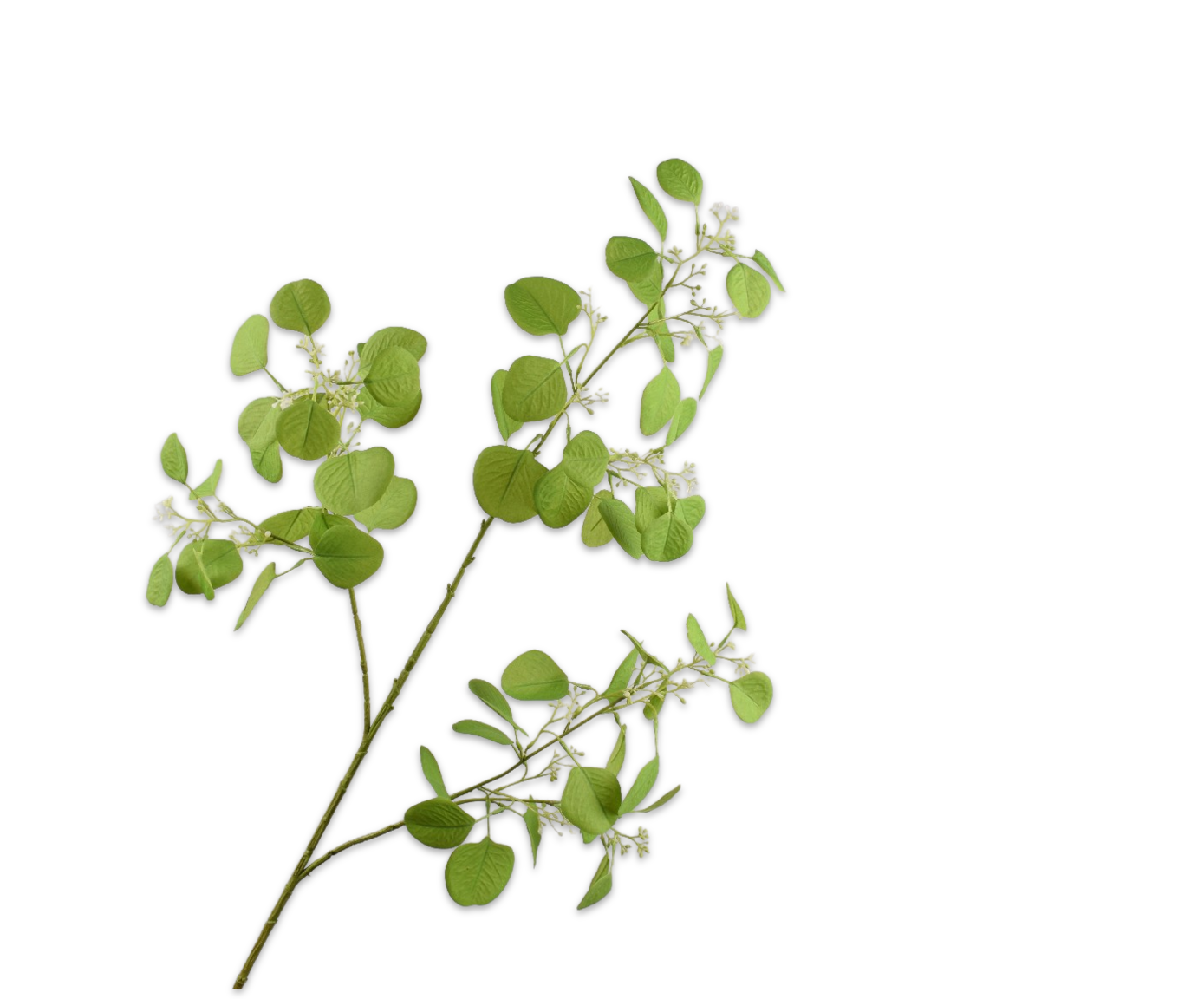 EUCALIPTO RAMO VERDE  112 CM