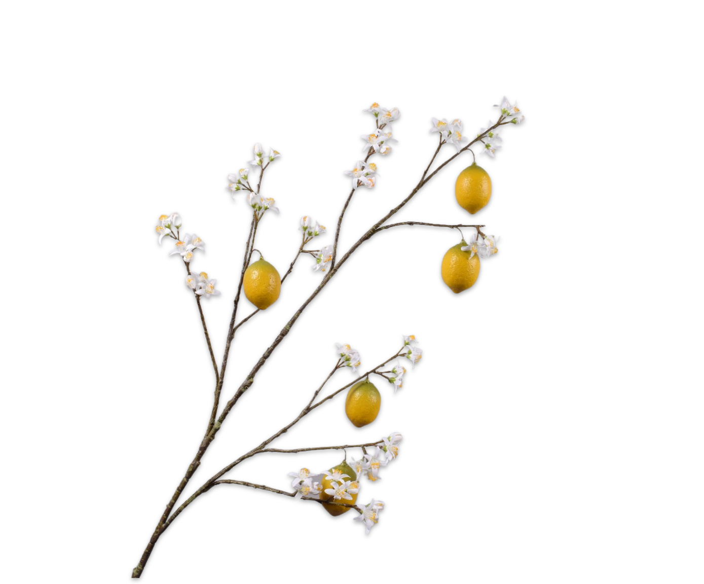 ZITRONE&#x20;ZWEIG&#x20;WEI&#x2F;GEL&#x20;&#x20;124&#x20;CM