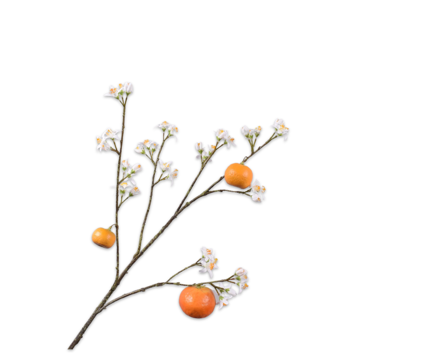 APFELSINE ZWEIG ORANGE  96 CM