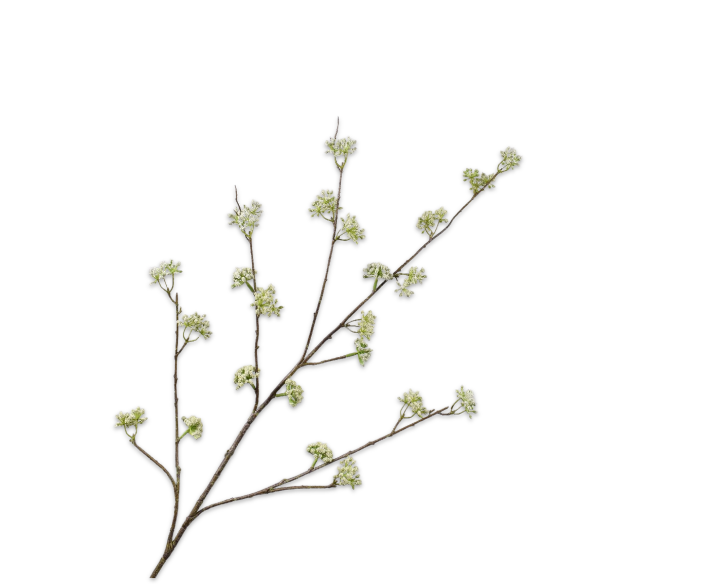 DILLE TAK GRN LT 115 cm