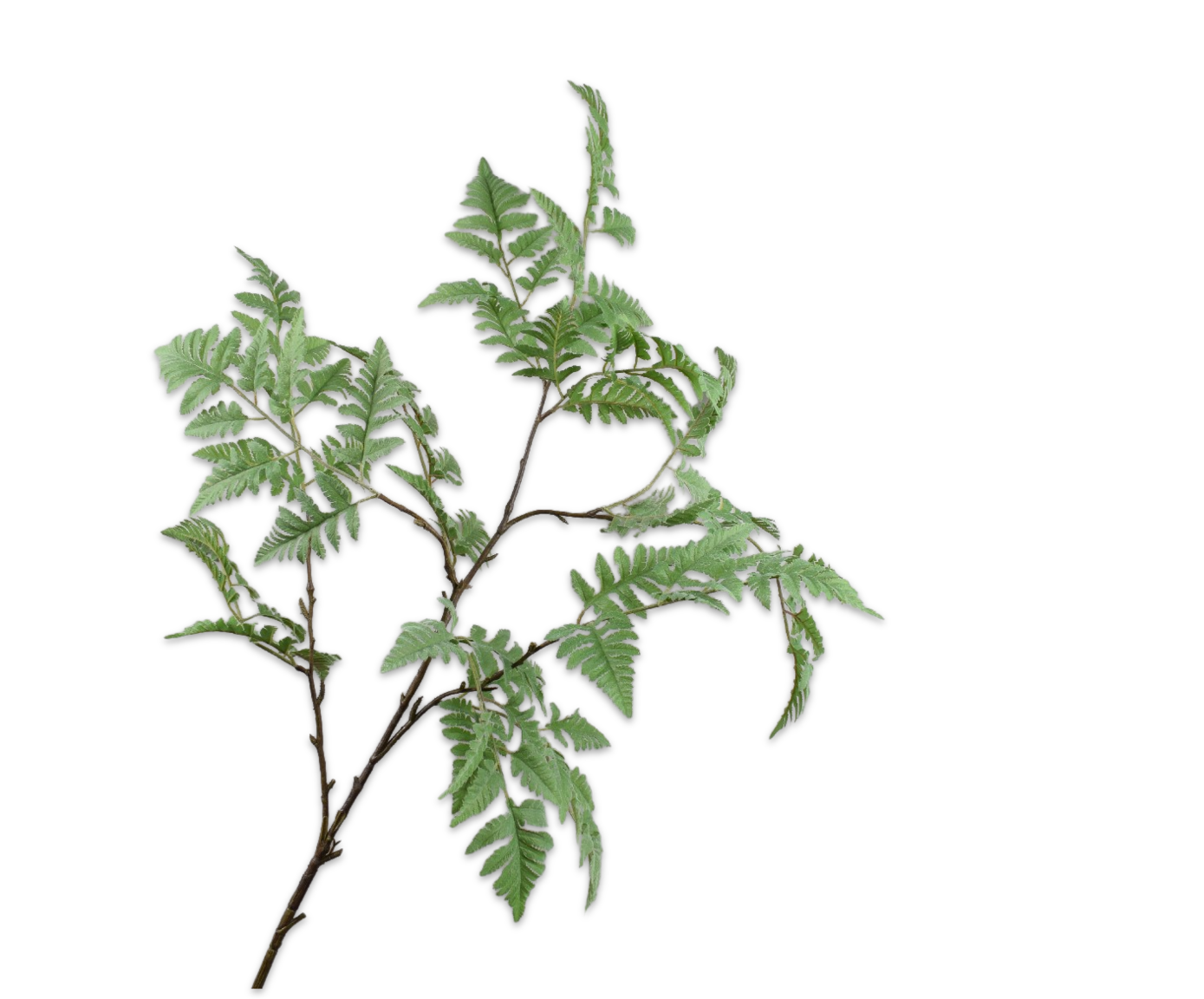 BLADTAK  GROEN 136 cm