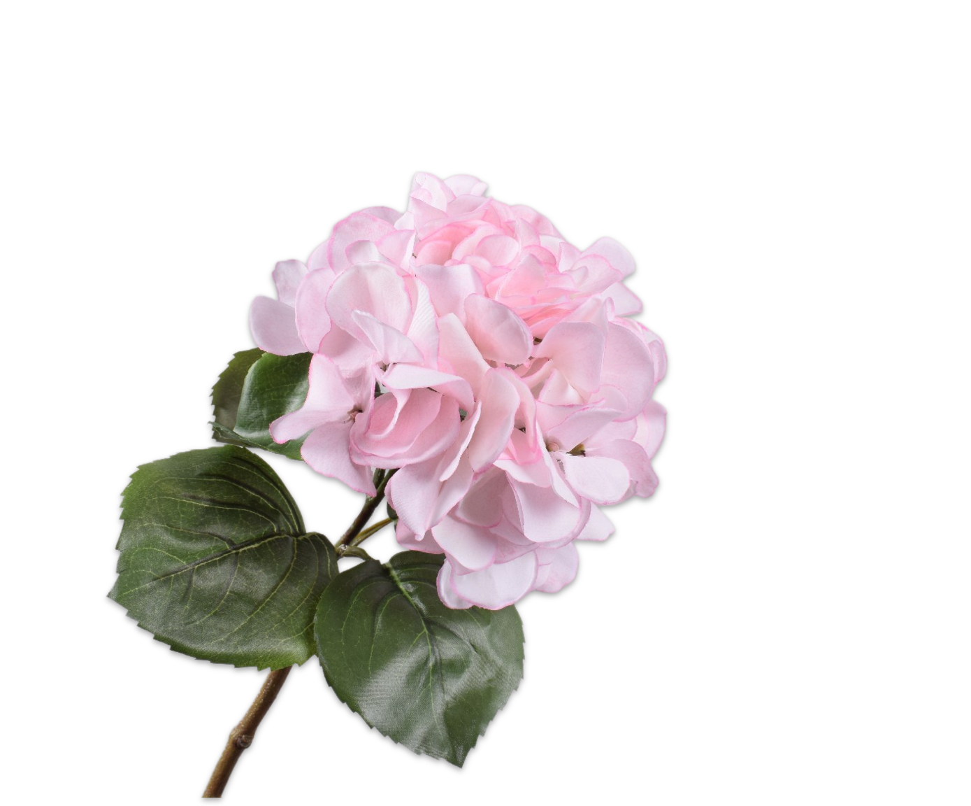 HORTENSIA&#x20;STEEL&#x20;ROZE&#x20;61&#x20;cm