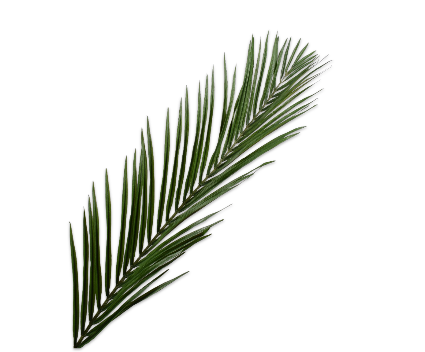 PALME STIEL GRÜN  123 CM