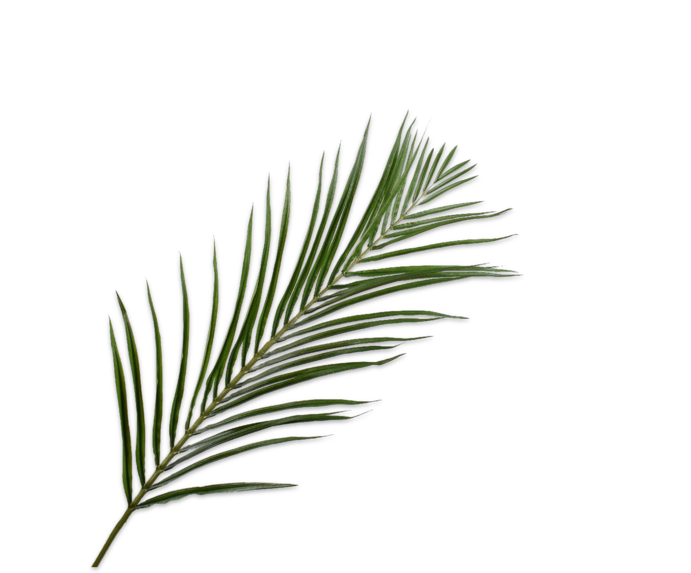 PALME STIEL GRÜN  155 CM
