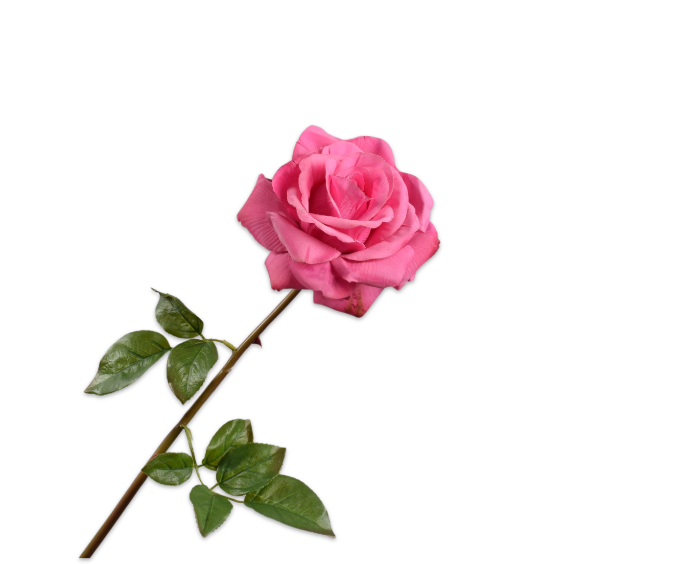 ROSE STEM FUCHSIA RT  68 CM