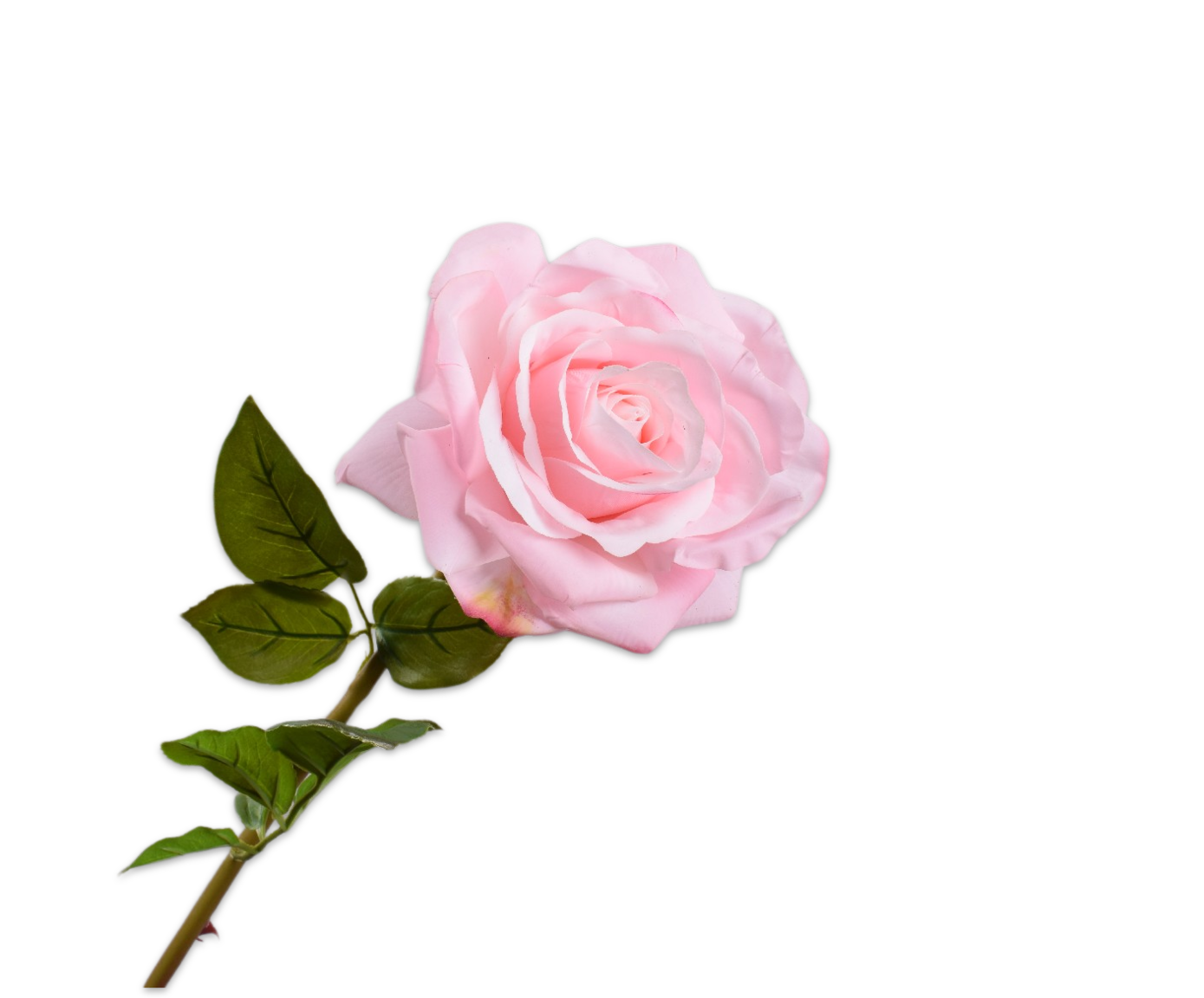 ROSE STEM PINK RT  68 CM