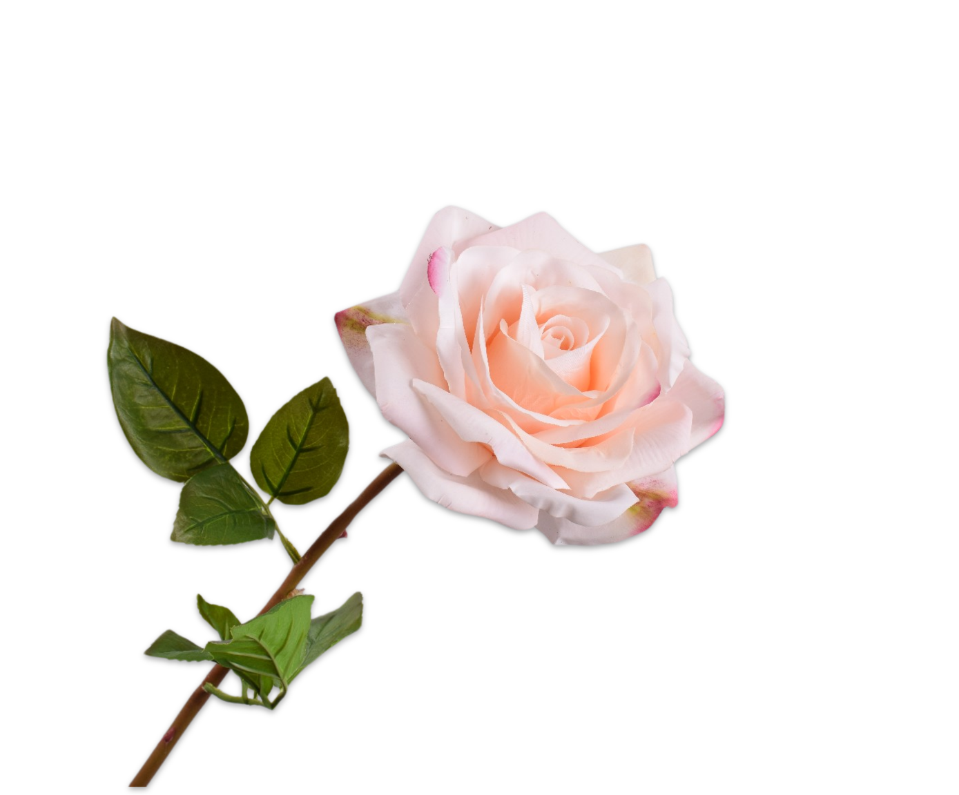ROSE STEM PINK LT RT  68 CM