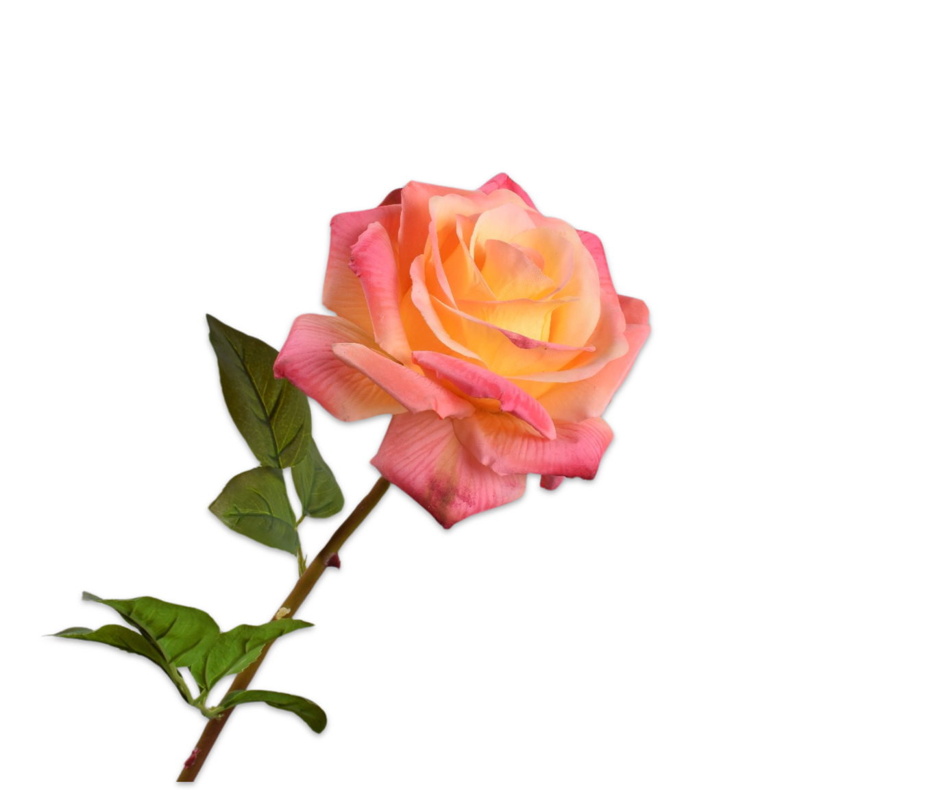 ROSE STEM PEACH RT  68 CM