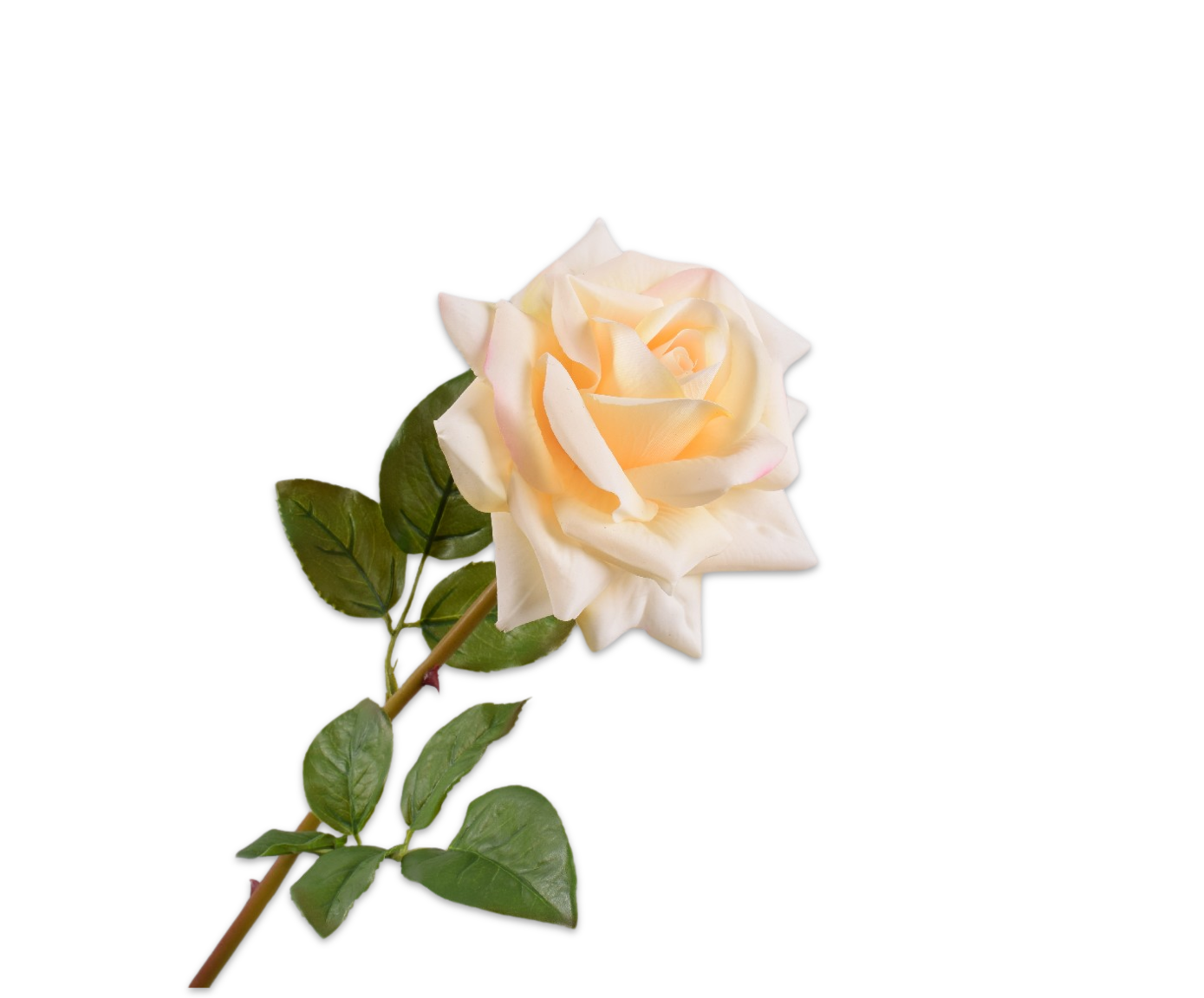 ROSE STEM YELLOW RT  63 CM