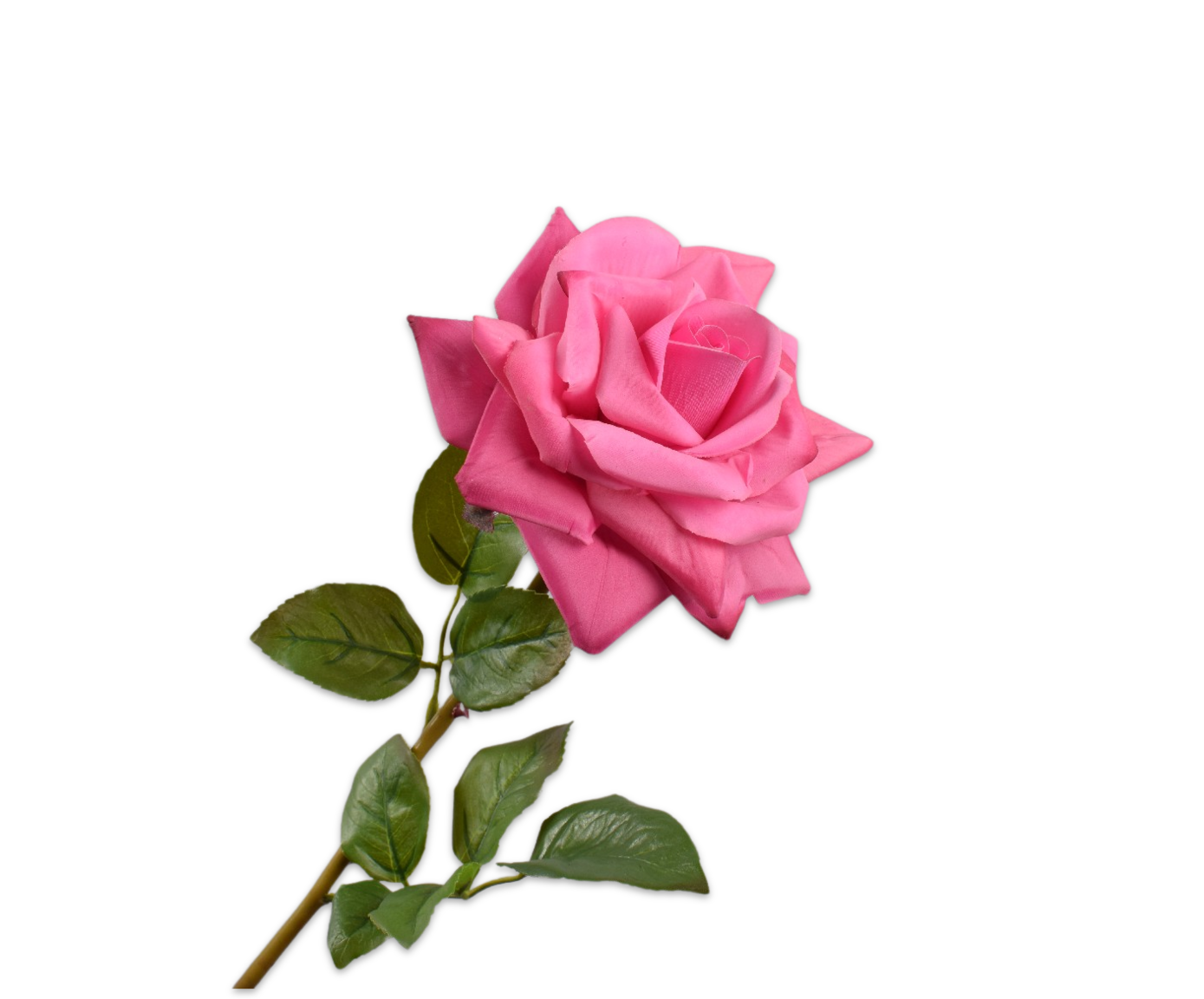 ROOS STEEL FUCHSIA RT 63 cm