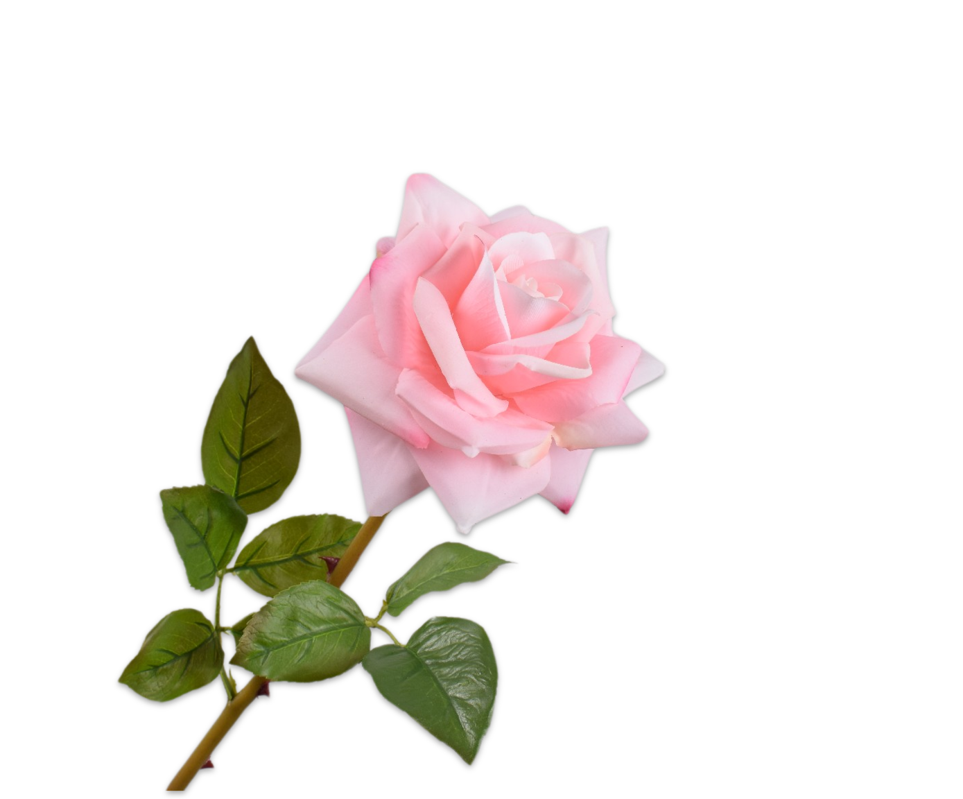 ROSE STEM PINK RT  63 CM