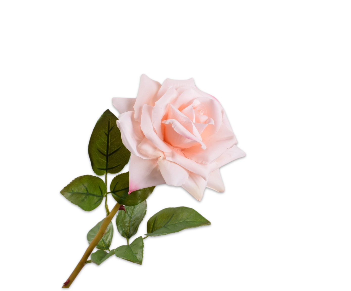 ROOS STEEL CR/ROZ RT 63 cm