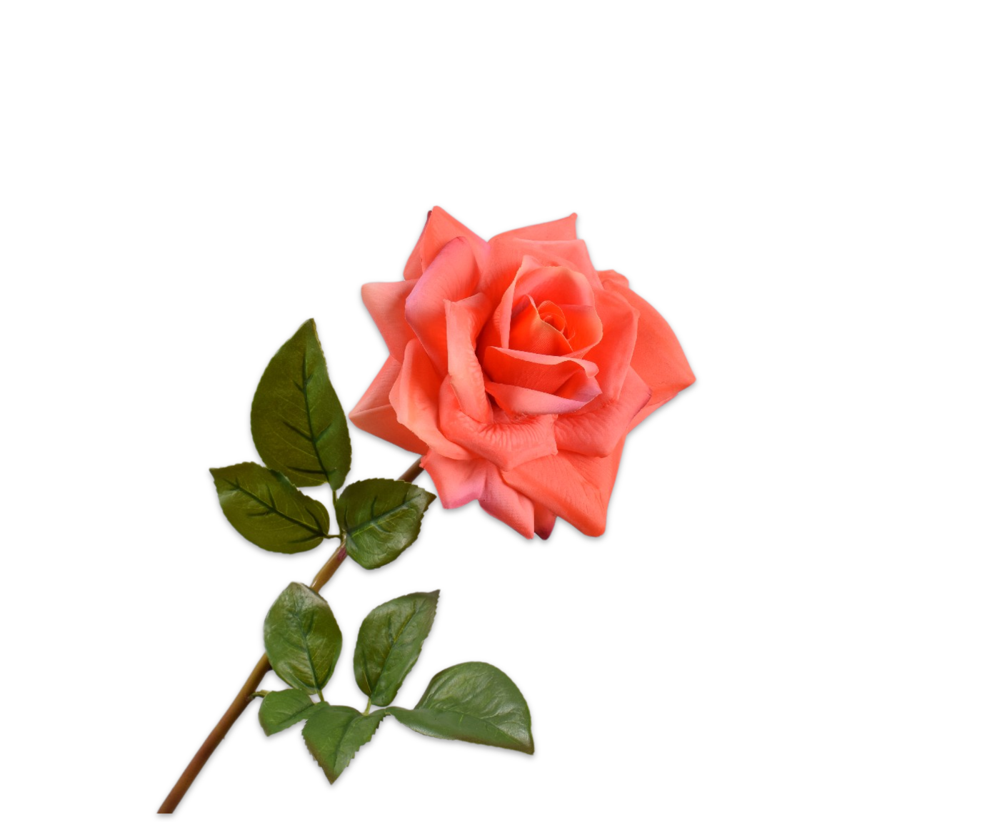 ROOS STEEL ORANJE RT 63 cm