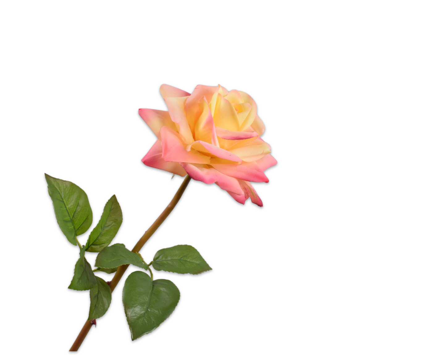 ROSE STEM PEACH RT  63 CM