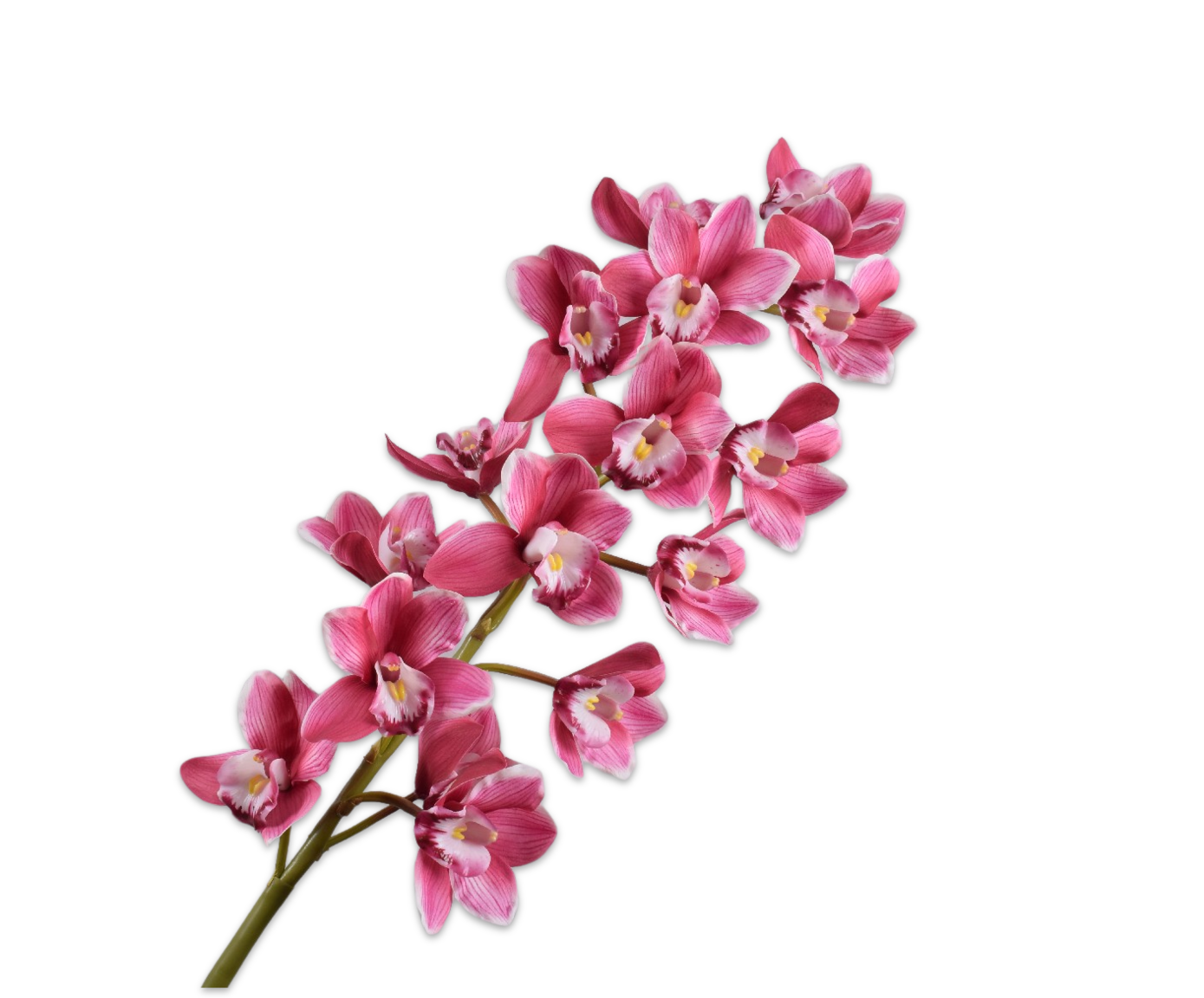 CYMBIDIUM STEEL MAUVE 114 cm
