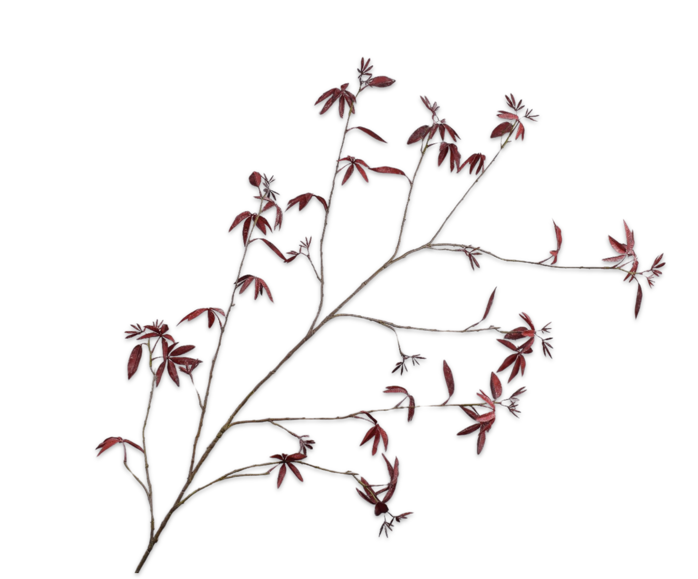 MAPLE SPRAY BURGUND  172 CM