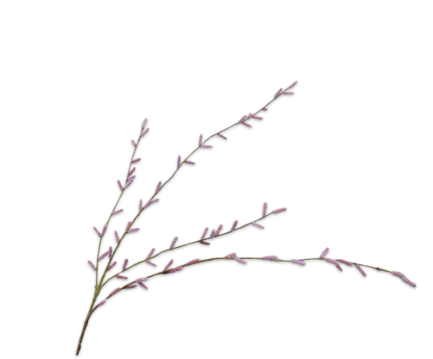 WILGENTAK  ROOD 122 cm