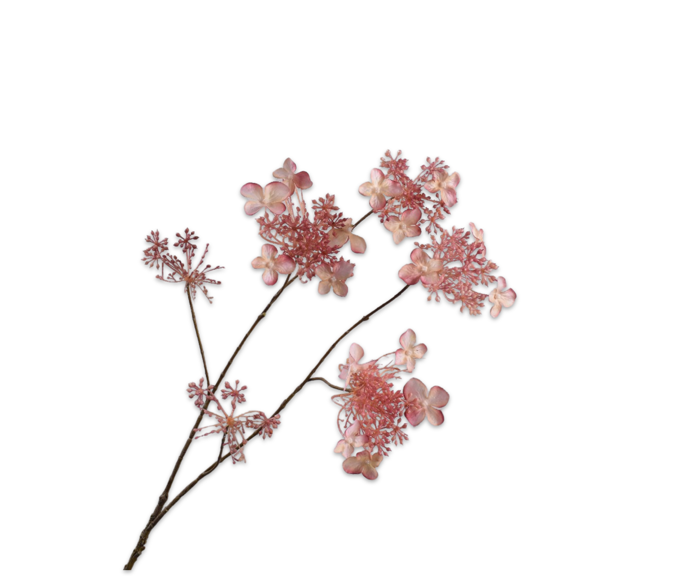 HORTENSIA RAMIFIÉE CR/ROS RT  94 CM