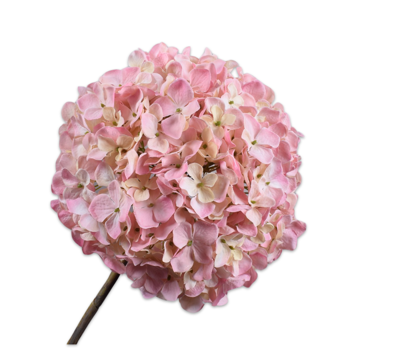 HORTENSIA STEEL ROZE 79 cm