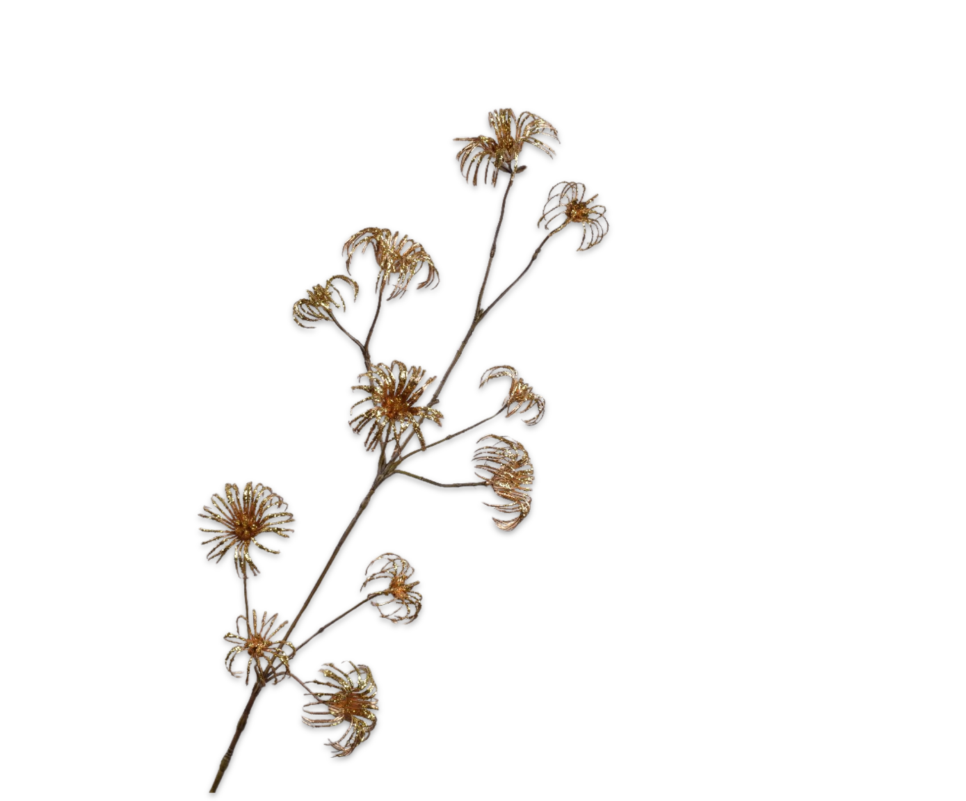 KLEMATIS ZWEIG GOLD  107 CM