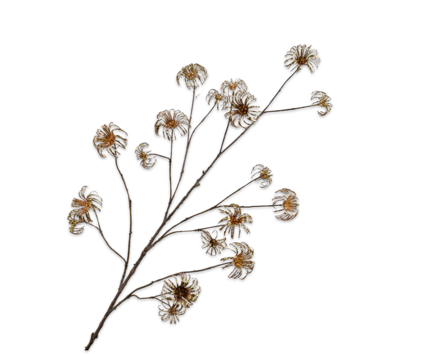 KLEMATIS ZWEIG GOLD  129 CM