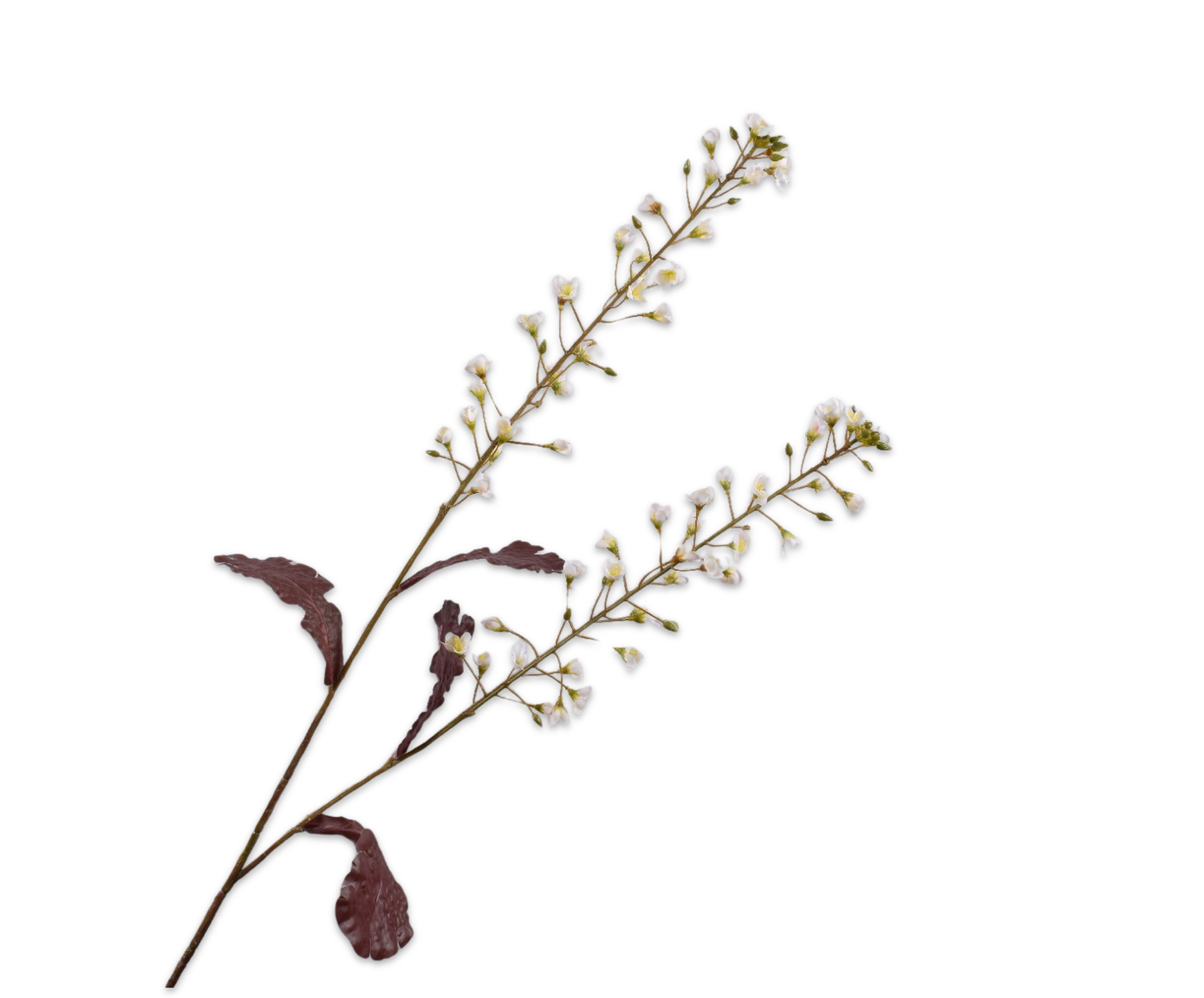 PRIMULA SPRAY CREAM  85 CM
