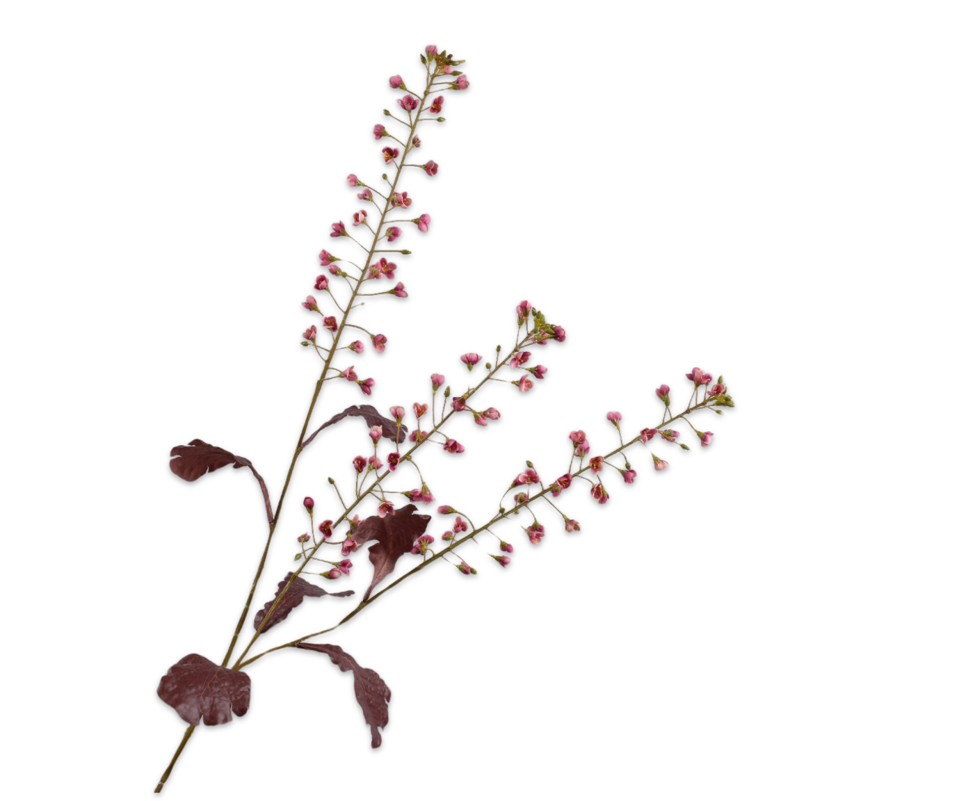 PRIMULA TAK ROZE 111 cm