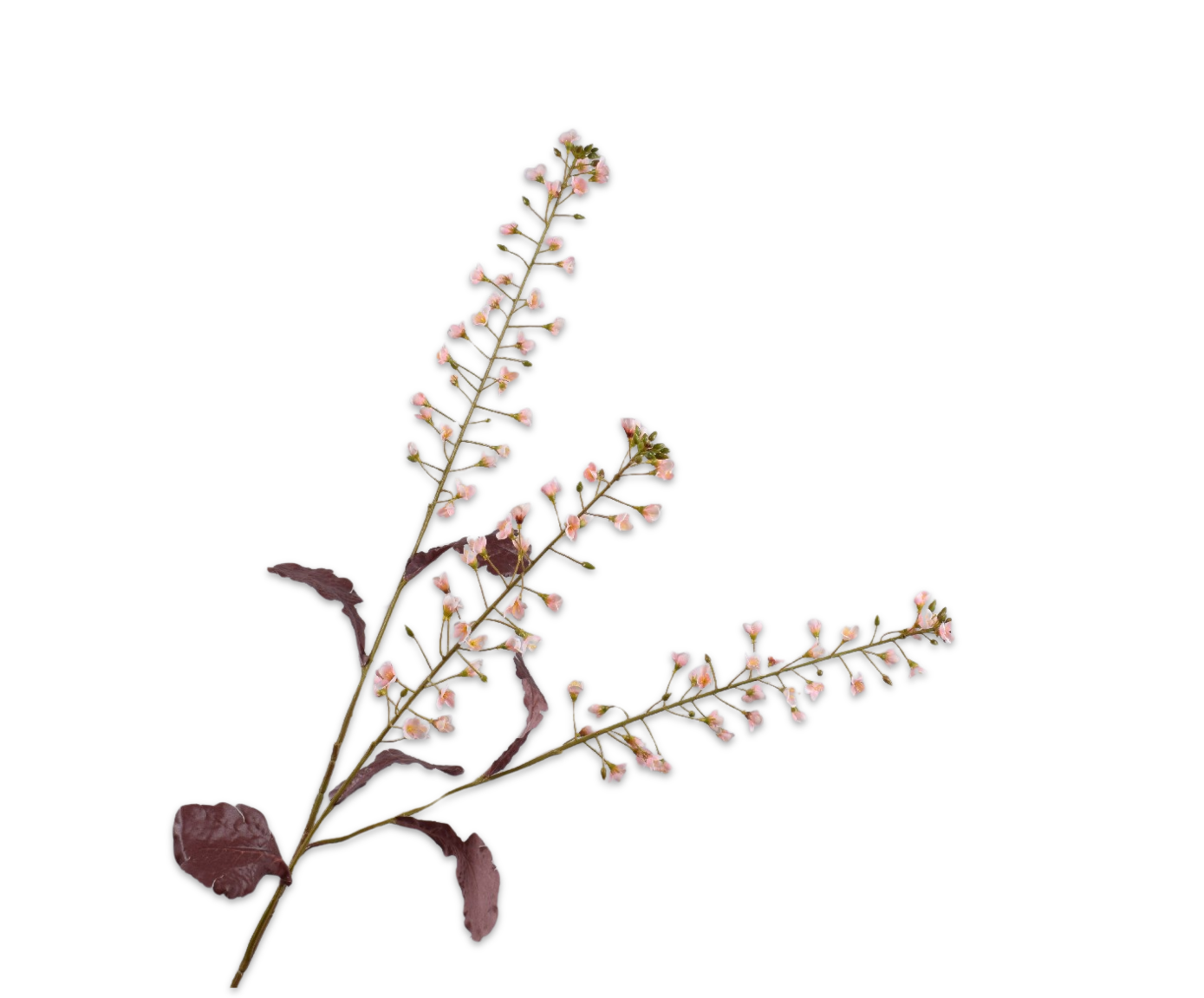 PRIMULA TAK CR/ROZ 111 cm