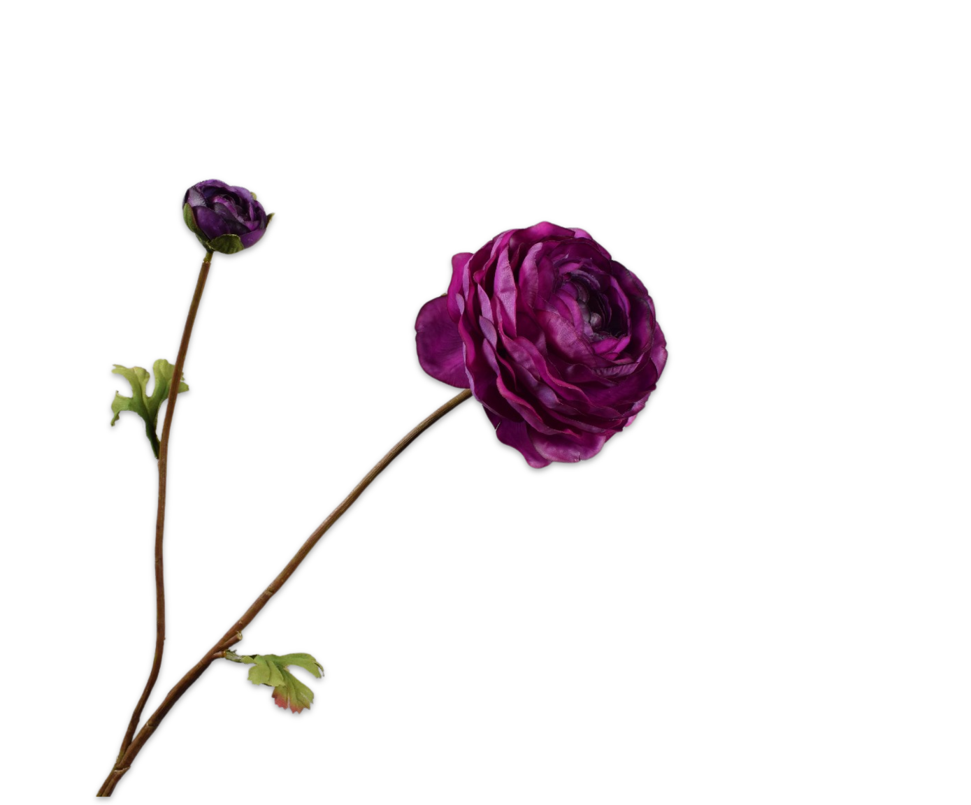RANUNCULUS SPRAY LAVEND RT  65 CM
