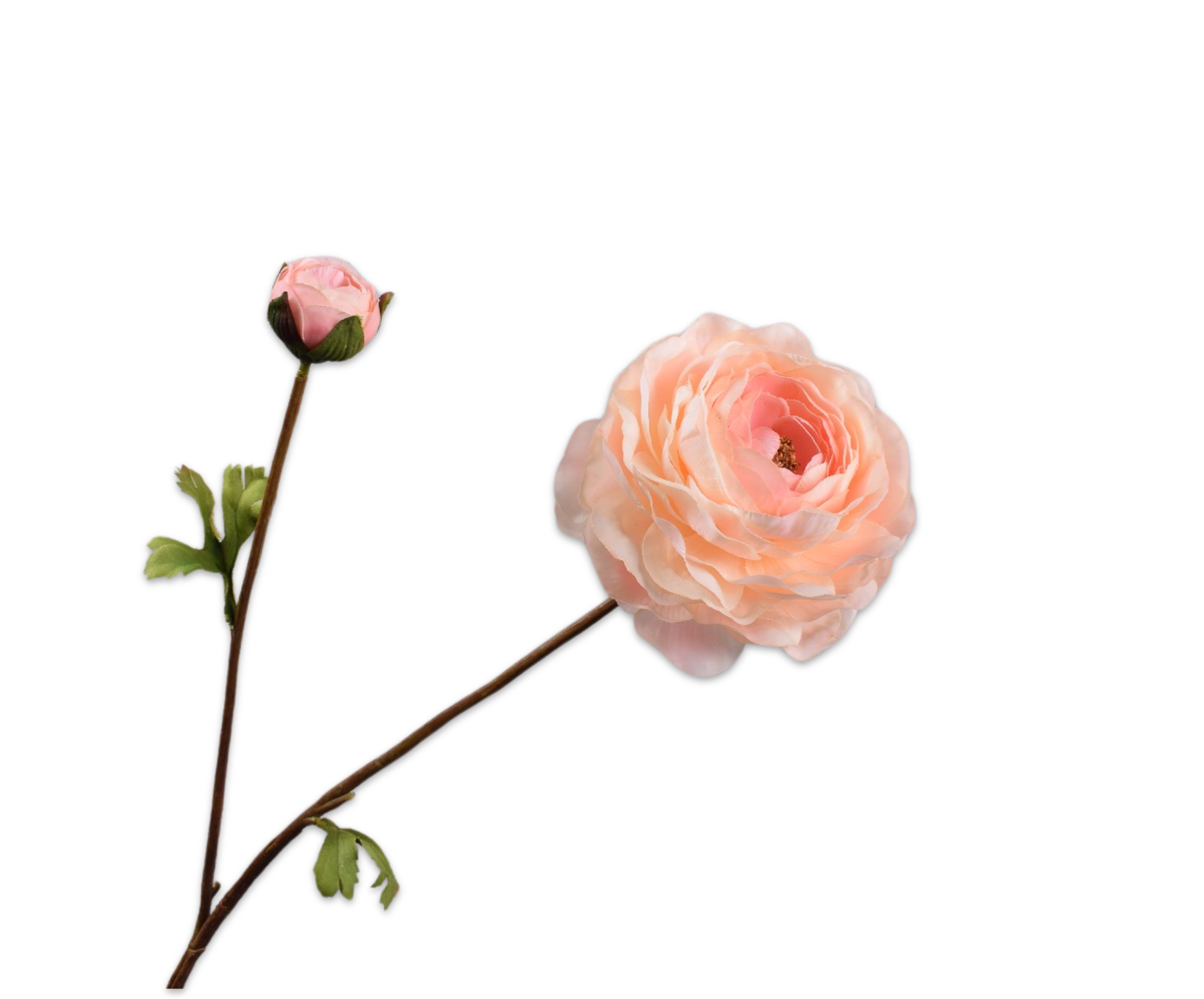 RANUNCULUS SPRAY PEACH RT  65 CM