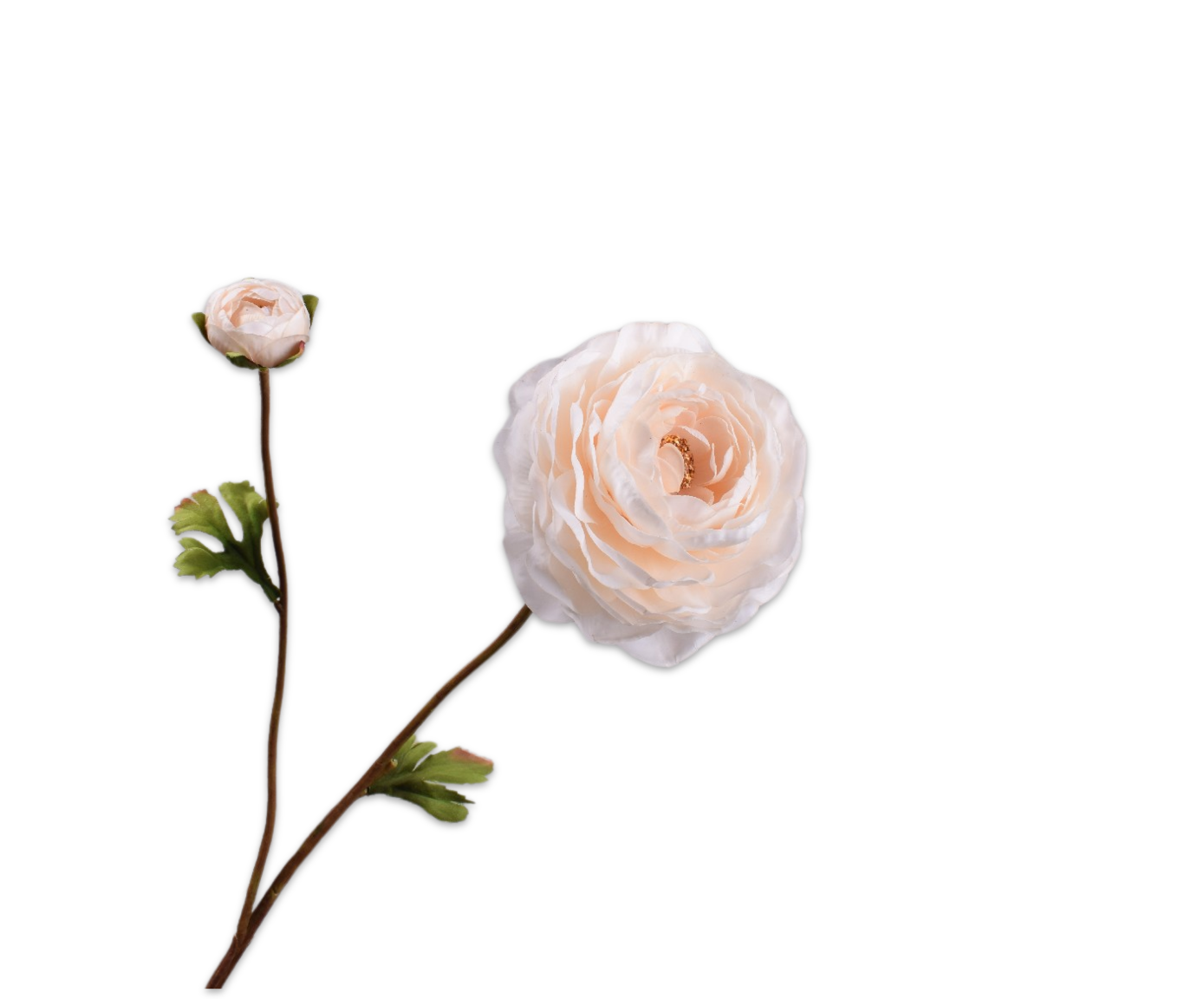 RANUNCULO RAMA CREMA RT  65 CM