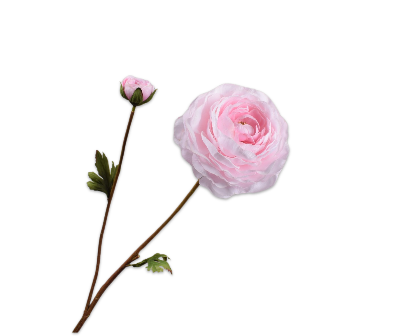 RANUNCULUS SPRAY PINK LT RT  65 CM