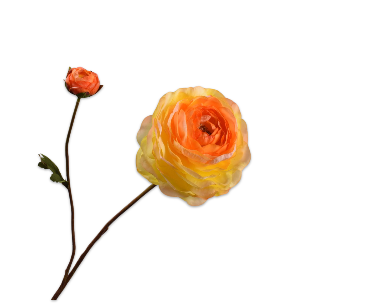 RANUNCULO RAMA AMARILLO RT  65 CM