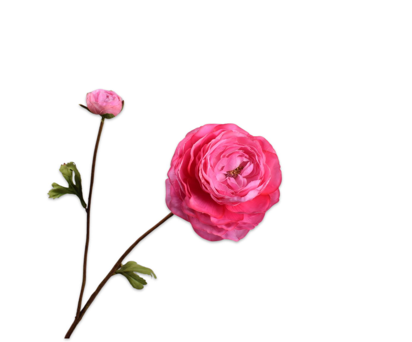 RANUNCULUS SPRAY PINK DK RT  65 CM