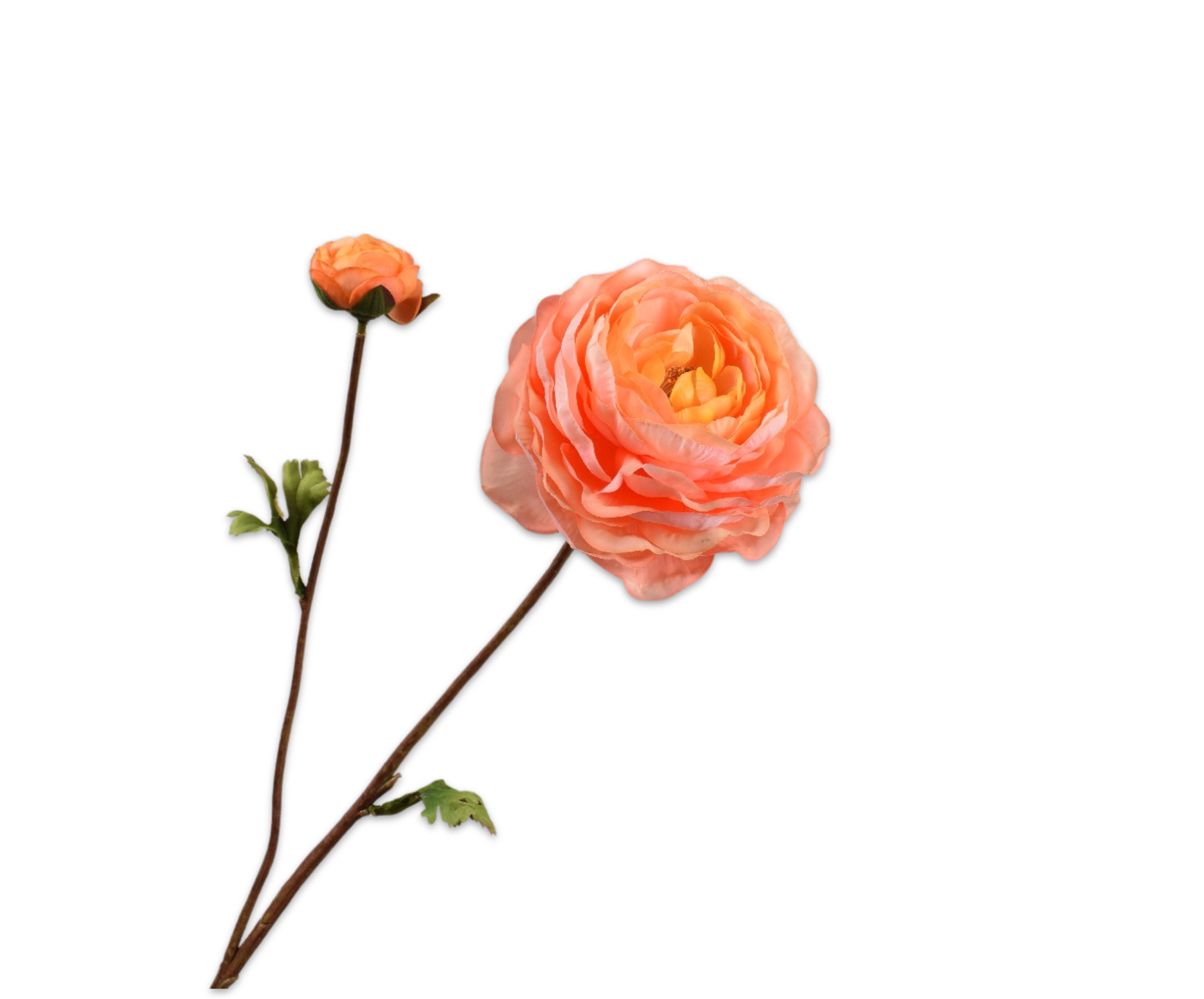 RANUNCULUS SPRAY SALMON RT  65 CM