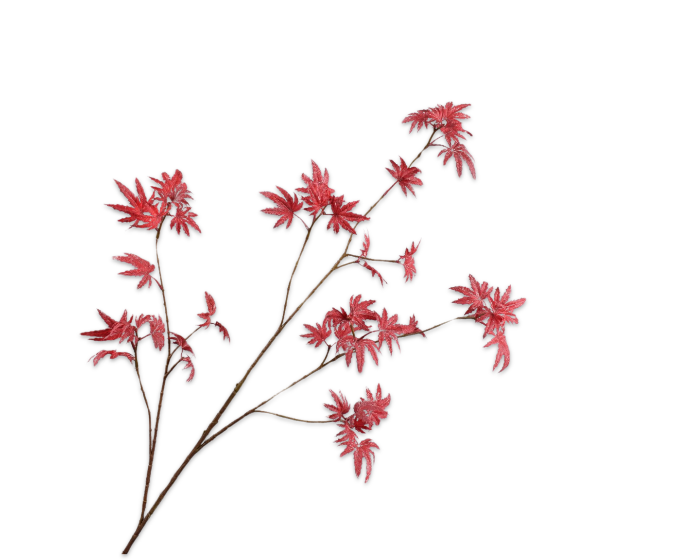 ARCE RAMA ROJO  116 CM