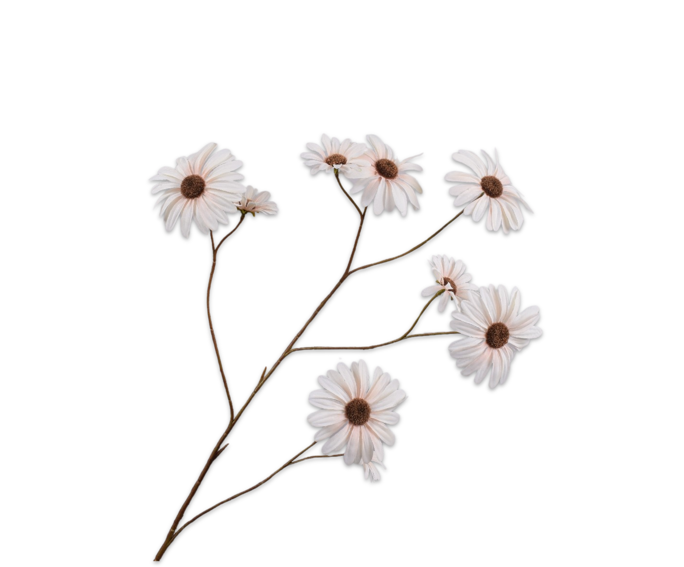 MARGRIET TAK PERZIK 102 cm