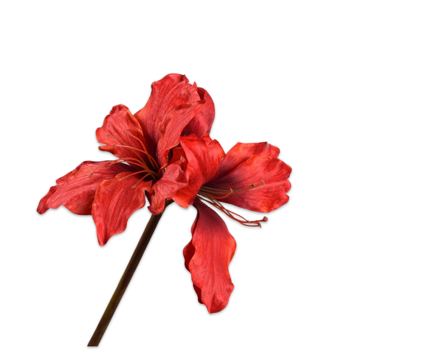 AMARYLLIS TALLO ROJO  69 CM