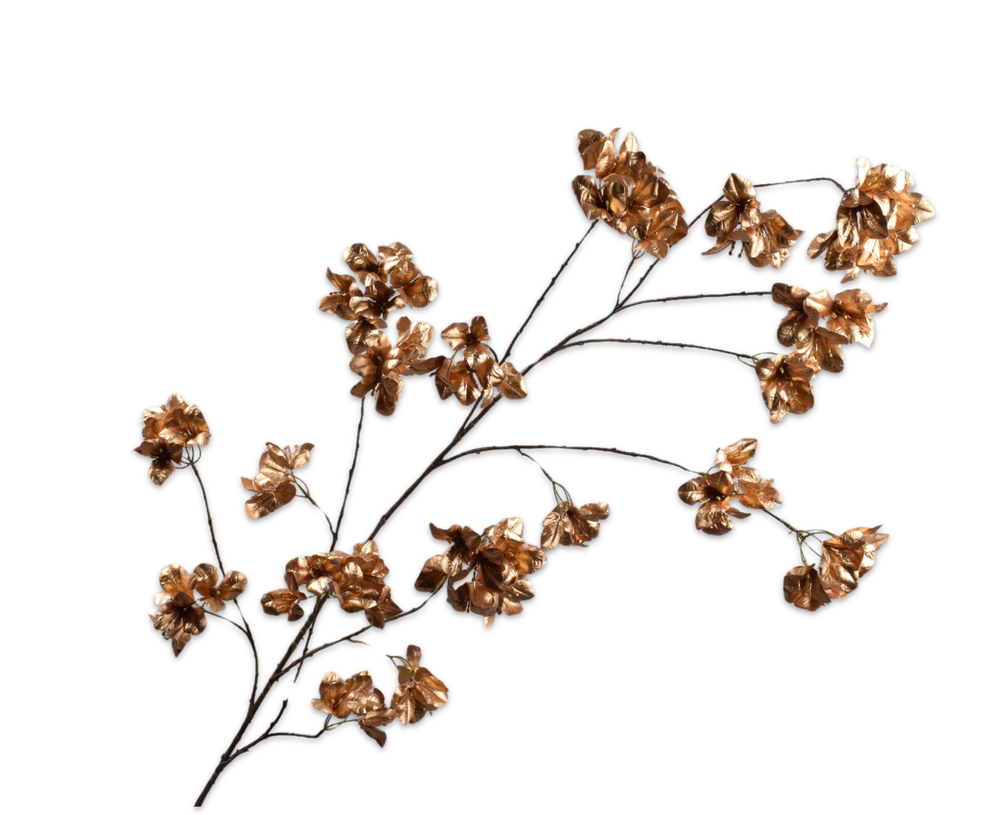 BOUGAINVILLEA TAK GOUD 168 cm