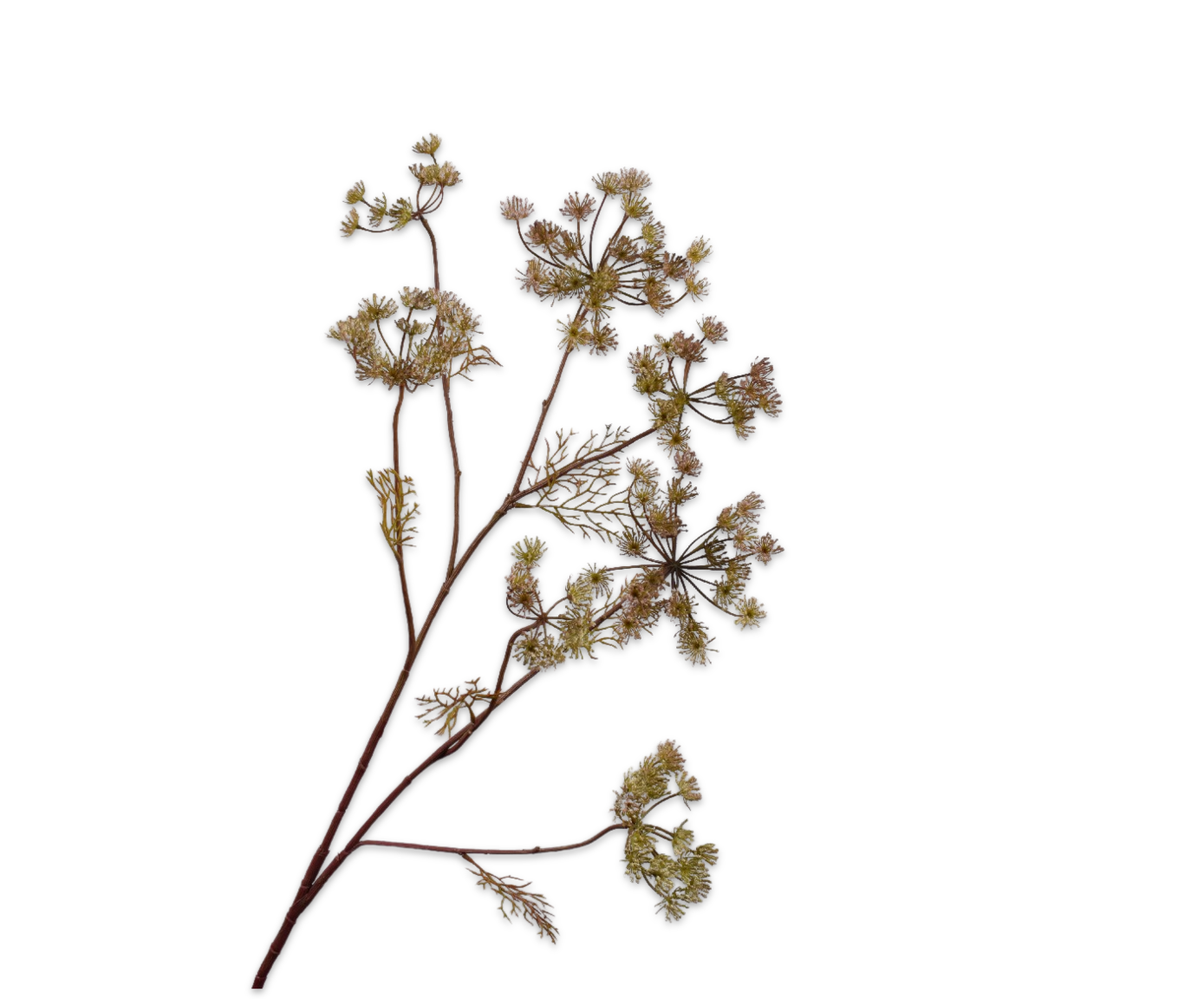 DILLE TAK ROZE LT 105 cm