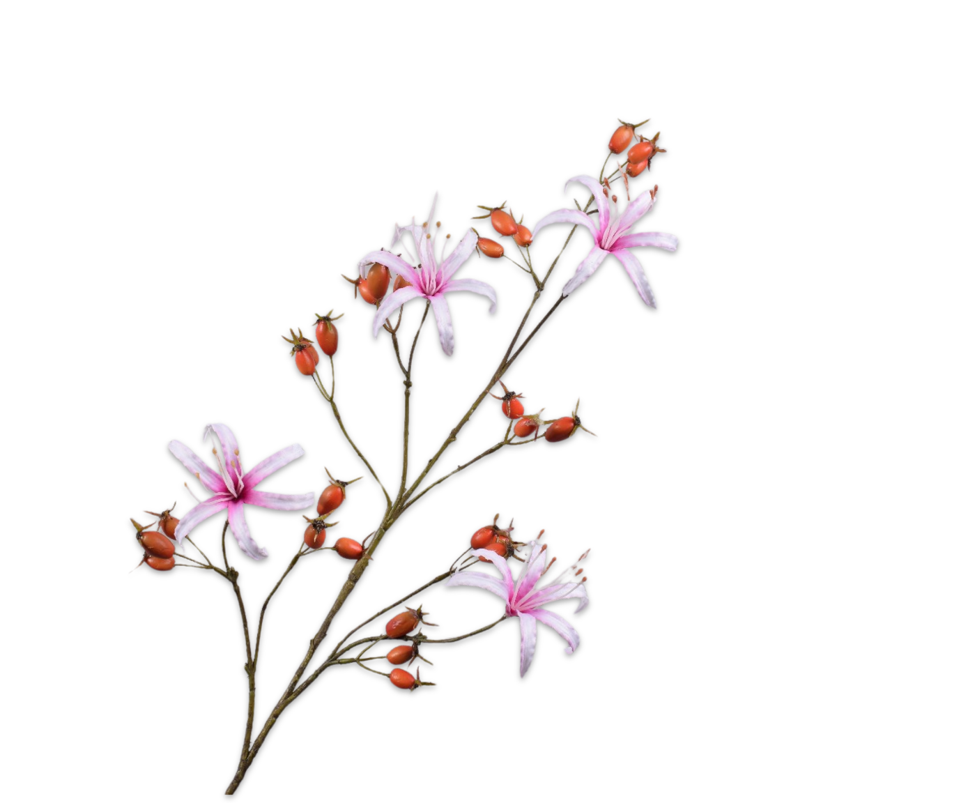 ROSEHIP SPRAY ORA/PNK  98 CM