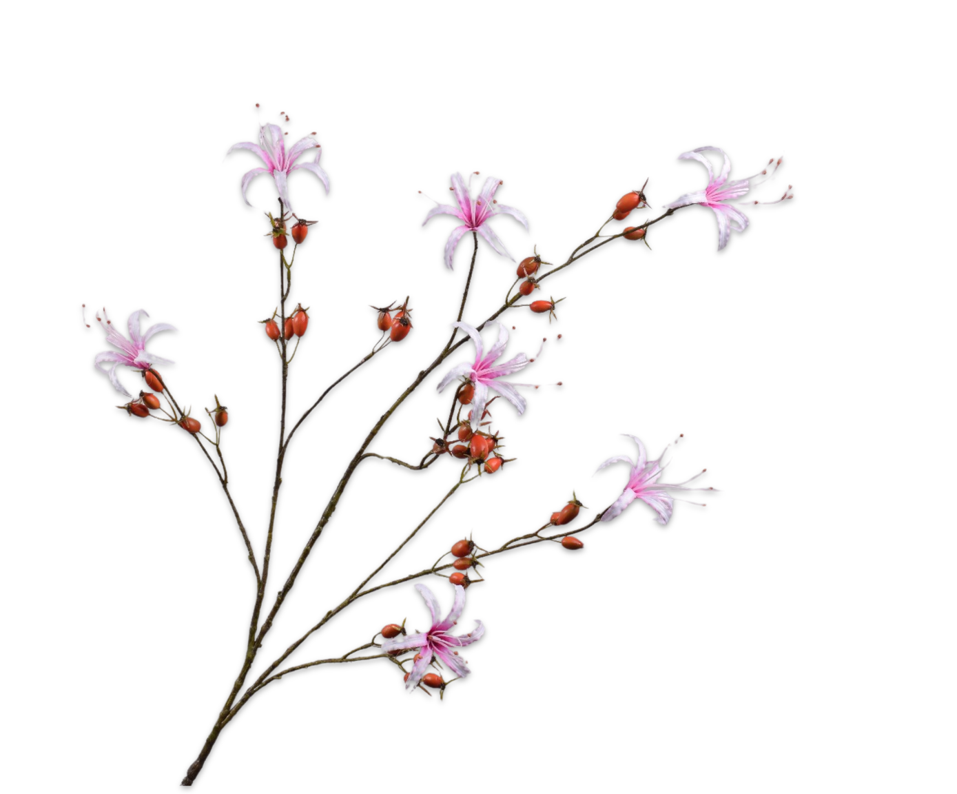 ROSEHIP SPRAY ORA/PNK  130 CM